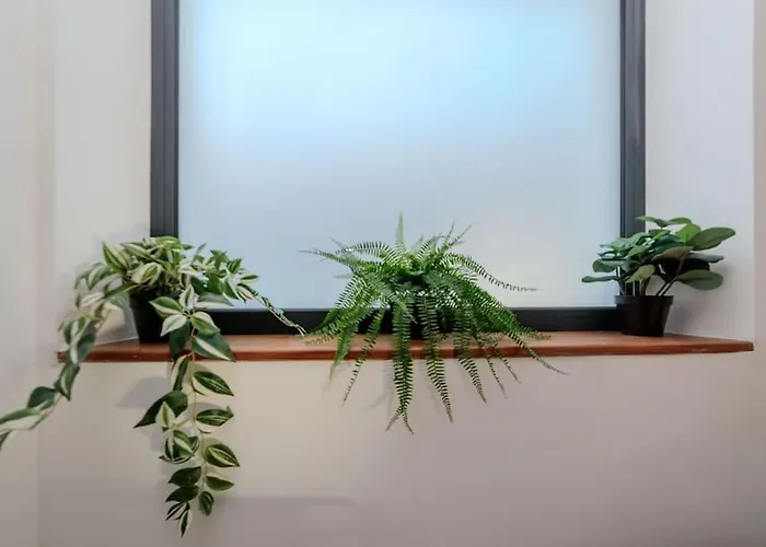 Et Volcans - Maison 9 Couchages Avec Garage Et Exterieur *